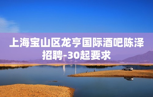 上海宝山区龙亨国际酒吧陈泽招聘-30起要求