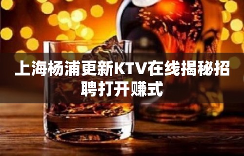 上海杨浦更新KTV在线揭秘招聘打开赚式