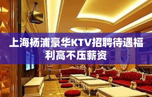 上海杨浦豪华KTV招聘待遇福利高不压薪资