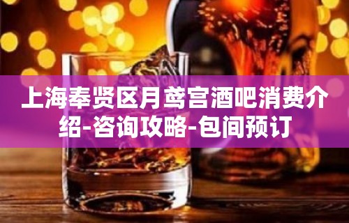 上海奉贤区月鸢宫酒吧消费介绍-咨询攻略-包间预订