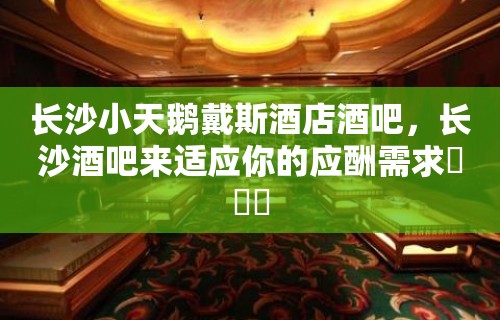 长沙小天鹅戴斯酒店酒吧，长沙酒吧来适应你的应酬需求​​​