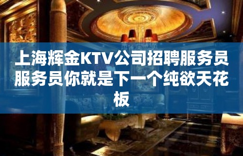 上海辉金KTV公司招聘服务员服务员你就是下一个纯欲天花板