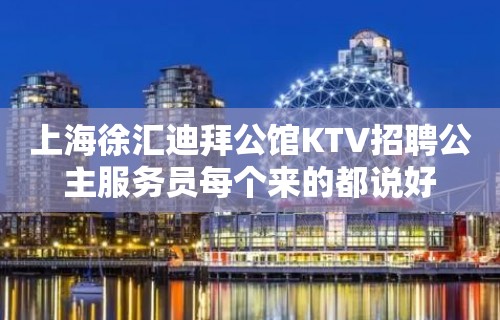 上海徐汇迪拜公馆KTV招聘公主服务员每个来的都说好