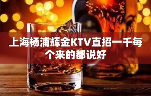 上海杨浦辉金KTV直招一千每个来的都说好