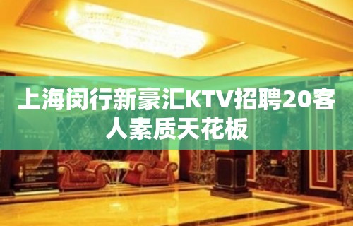 上海闵行新豪汇KTV招聘20客人素质天花板