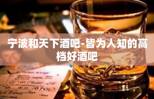 宁波和天下酒吧-皆为人知的高档好酒吧