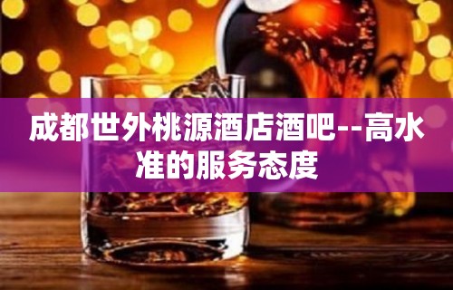 成都世外桃源酒店酒吧--高水准的服务态度