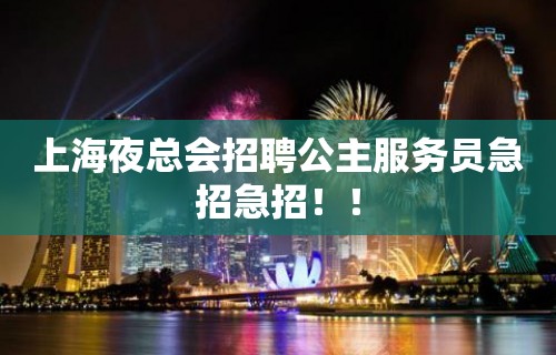 上海夜总会招聘公主服务员急招急招！！