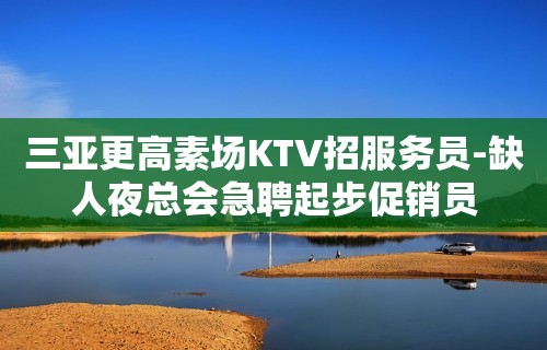 三亚更高素场KTV招服务员-缺人夜总会急聘起步促销员