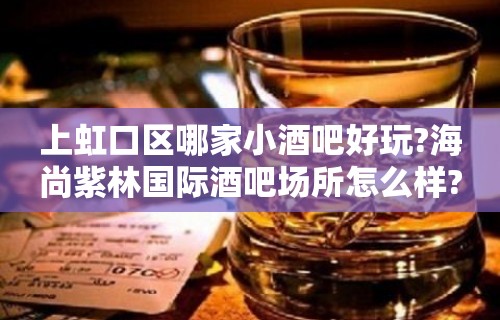 上虹口区哪家小酒吧好玩?海尚紫林国际酒吧场所怎么样?