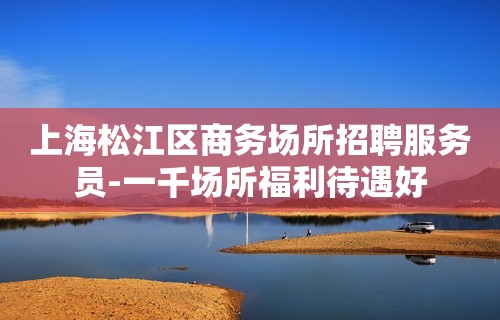 上海松江区商务场所招聘服务员-一千场所福利待遇好