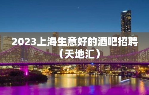 2023上海生意好的酒吧招聘（天地汇）