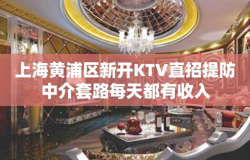 上海黄浦区新开KTV直招提防中介套路每天都有收入