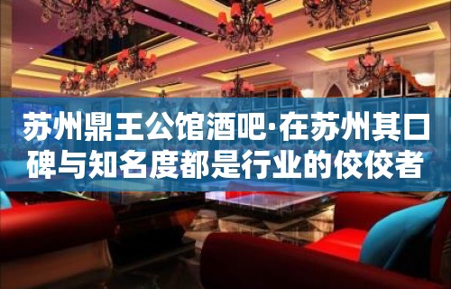 苏州鼎王公馆酒吧·在苏州其口碑与知名度都是行业的佼佼者