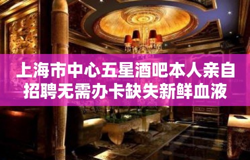 上海市中心五星酒吧本人亲自招聘无需办卡缺失新鲜血液