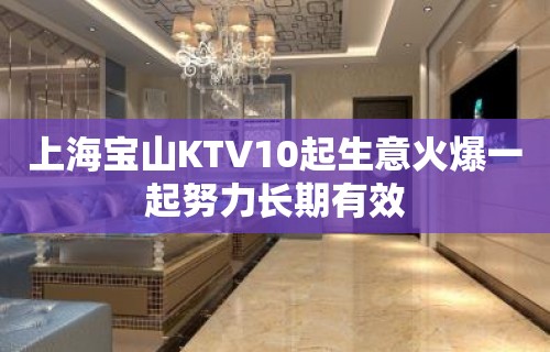 上海宝山KTV10起生意火爆一起努力长期有效