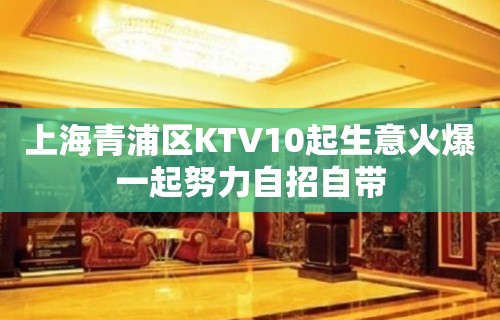 上海青浦区KTV10起生意火爆一起努力自招自带