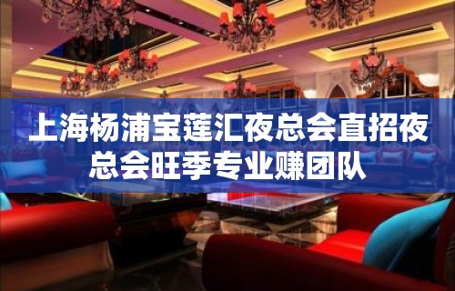 上海杨浦宝莲汇夜总会直招夜总会旺季专业赚团队