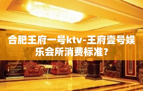 合肥王府一号ktv-王府壹号娱乐会所消费标准？