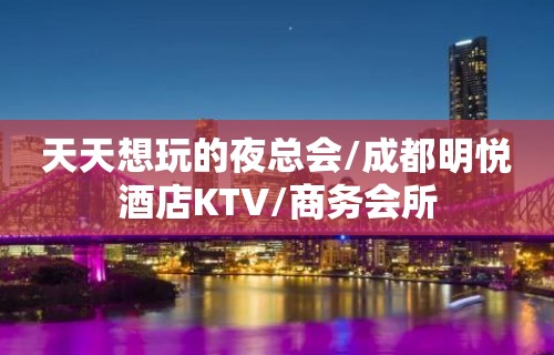 天天想玩的夜总会/成都明悦酒店KTV/商务会所