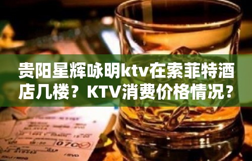 贵阳星辉咏明ktv在索菲特酒店几楼？KTV消费价格情况？