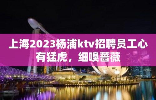 上海2023杨浦ktv招聘员工心有猛虎，细嗅蔷薇