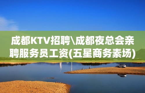 成都KTV招聘\成都夜总会亲聘服务员工资(五星商务素场)