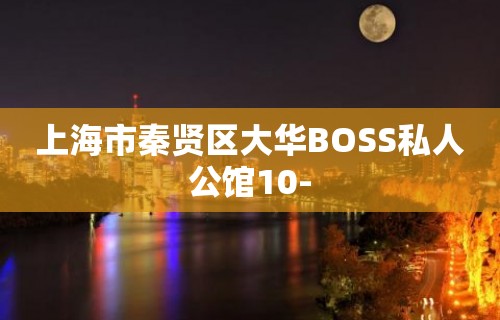 上海市秦贤区大华BOSS私人公馆10-