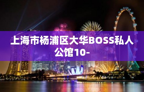 上海市杨浦区大华BOSS私人公馆10-