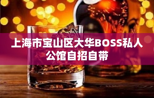 上海市宝山区大华BOSS私人公馆自招自带