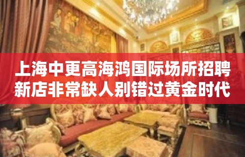 上海中更高海鸿国际场所招聘新店非常缺人别错过黄金时代