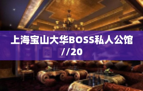 上海宝山大华BOSS私人公馆//20