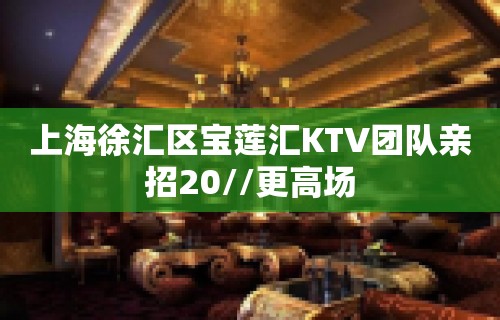 上海徐汇区宝莲汇KTV团队亲招20//更高场