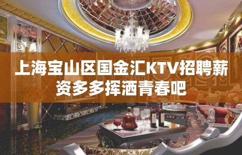 上海宝山区国金汇KTV招聘薪资多多挥洒青春吧