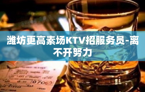 潍坊更高素场KTV招服务员-离不开努力