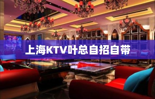 上海KTV叶总自招自带