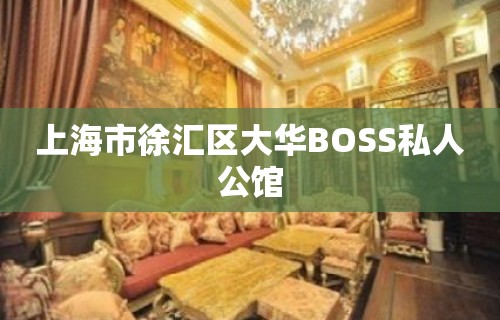 上海市徐汇区大华BOSS私人公馆