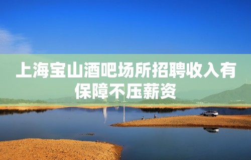 上海宝山酒吧场所招聘收入有保障不压薪资