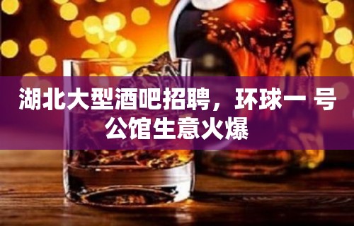 湖北大型酒吧招聘，环球一 号公馆生意火爆