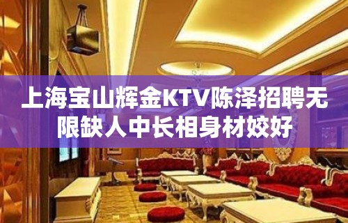 上海宝山辉金KTV陈泽招聘无限缺人中长相身材姣好