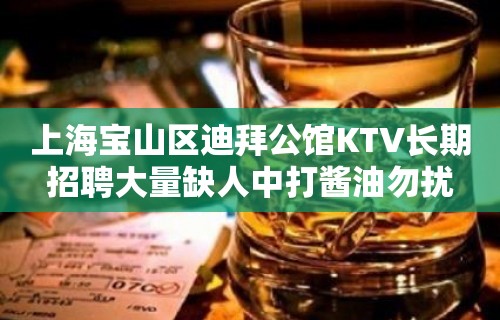 上海宝山区迪拜公馆KTV长期招聘大量缺人中打酱油勿扰