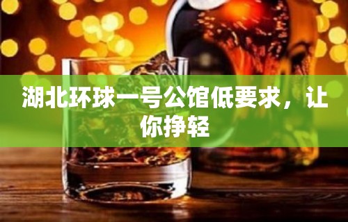 湖北环球一号公馆低要求，让你挣轻