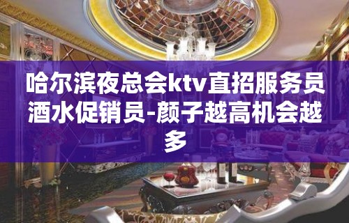 哈尔滨夜总会ktv直招服务员酒水促销员-颜子越高机会越多