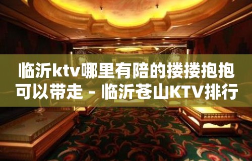 临沂ktv哪里有陪的搂搂抱抱可以带走 – 临沂苍山KTV排行