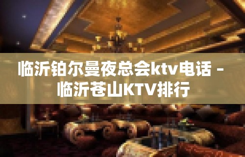 临沂铂尔曼夜总会ktv电话 – 临沂苍山KTV排行