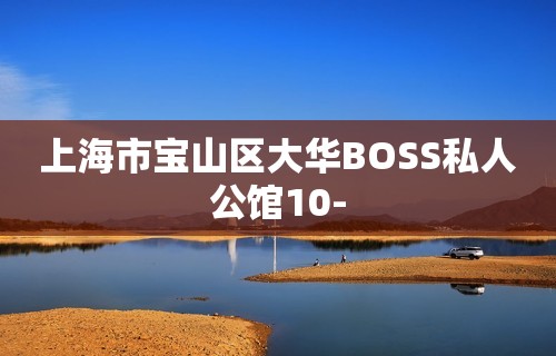 上海市宝山区大华BOSS私人公馆10-