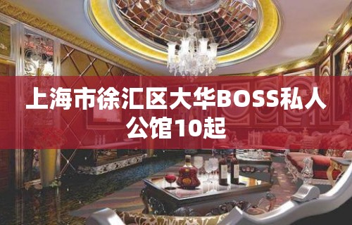 上海市徐汇区大华BOSS私人公馆10起