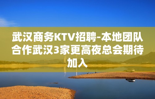 武汉商务KTV招聘-本地团队合作武汉3家更高夜总会期待加入