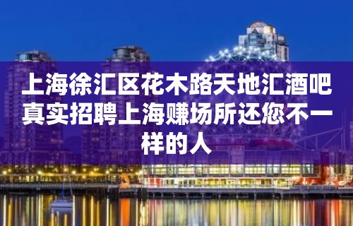 上海徐汇区花木路天地汇酒吧真实招聘上海赚场所还您不一样的人