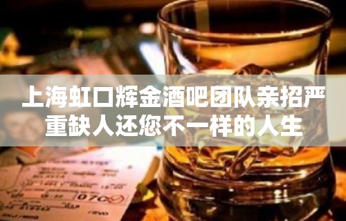 上海虹口辉金酒吧团队亲招严重缺人还您不一样的人生